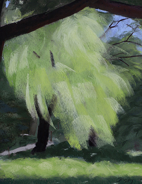 drawing of willow tree